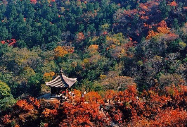 仙台山:华北赏枫天堂,美景超越香山20倍!