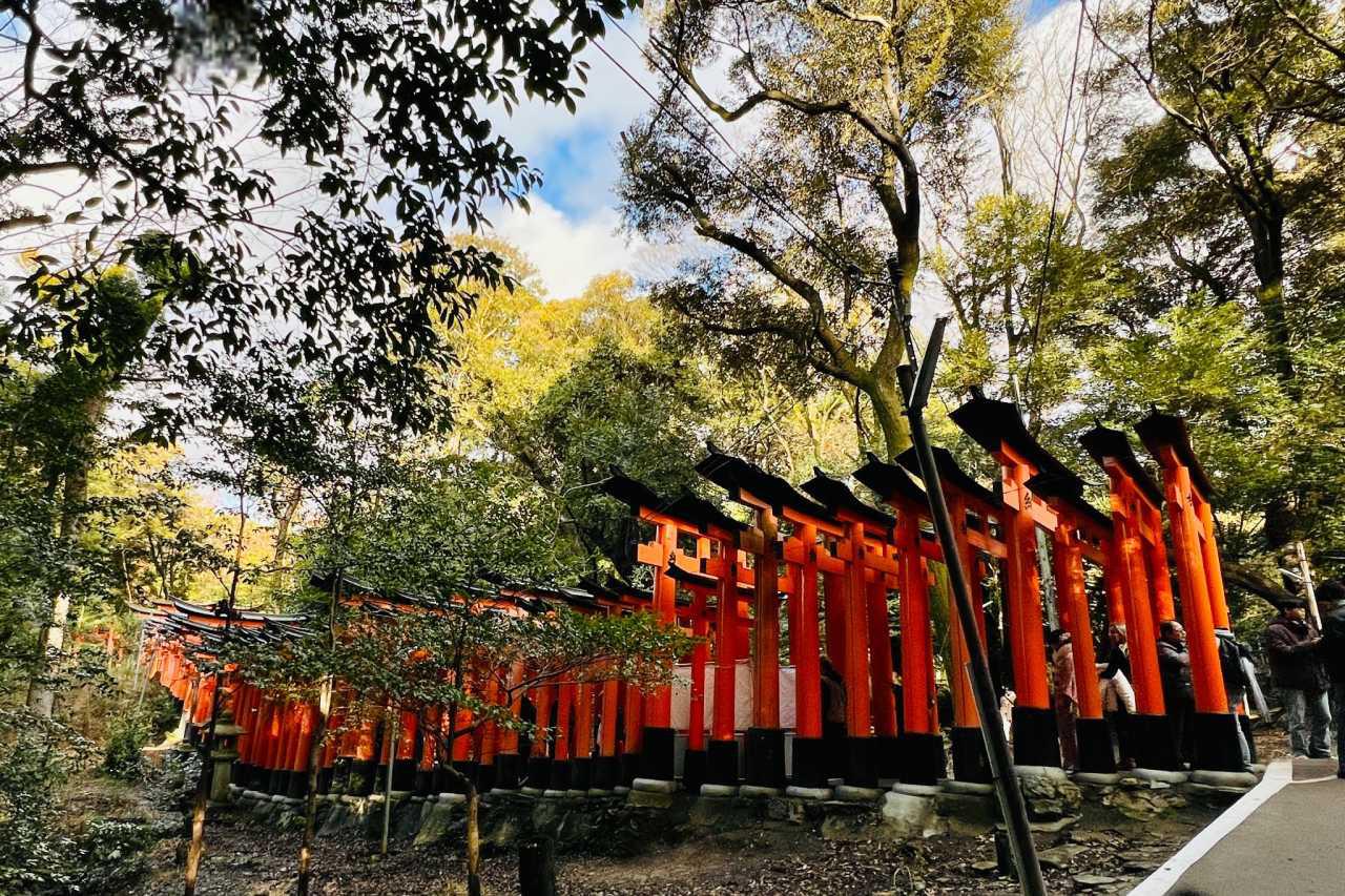 伏见稻荷大社 千本鸟居的壮观景象 伏见稻荷大社是日本著名的神社之一