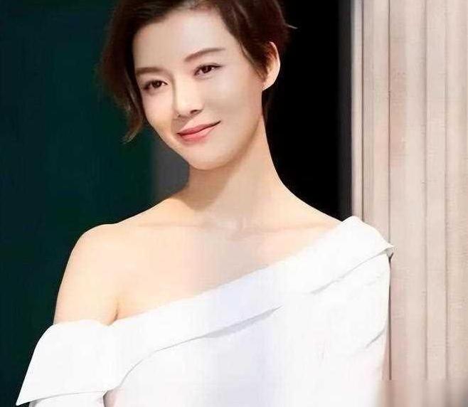 车晓,这位曾以温婉知性形象打动观众的女星,近期因前夫李兆会的财务