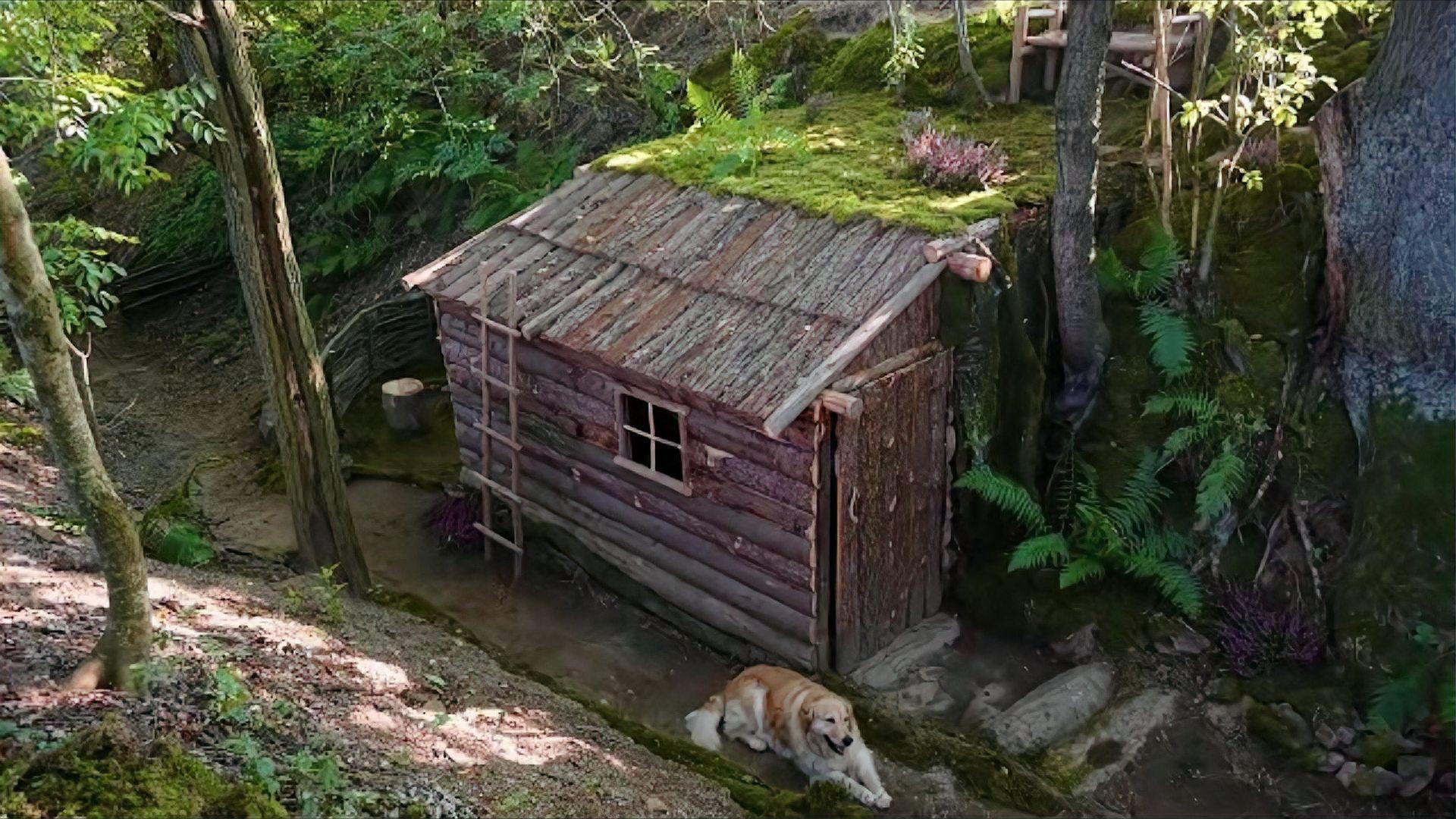 隐居山林的木屋图片