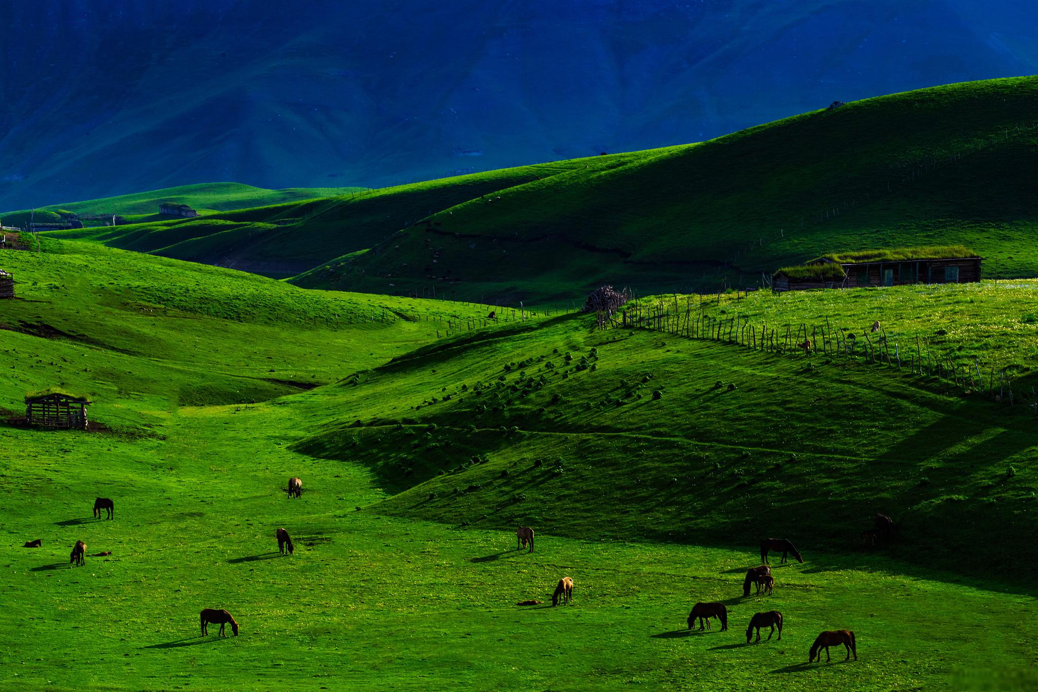 五大璀璨明珠:探秘新疆神秘美景 新疆,这片古老而神秘的土地,隐藏着无