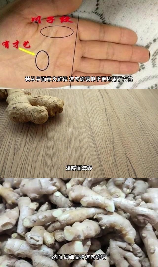 手如干姜,家业兴旺的寓意,无关性别,关乎态度与付出 这句老话不仅是