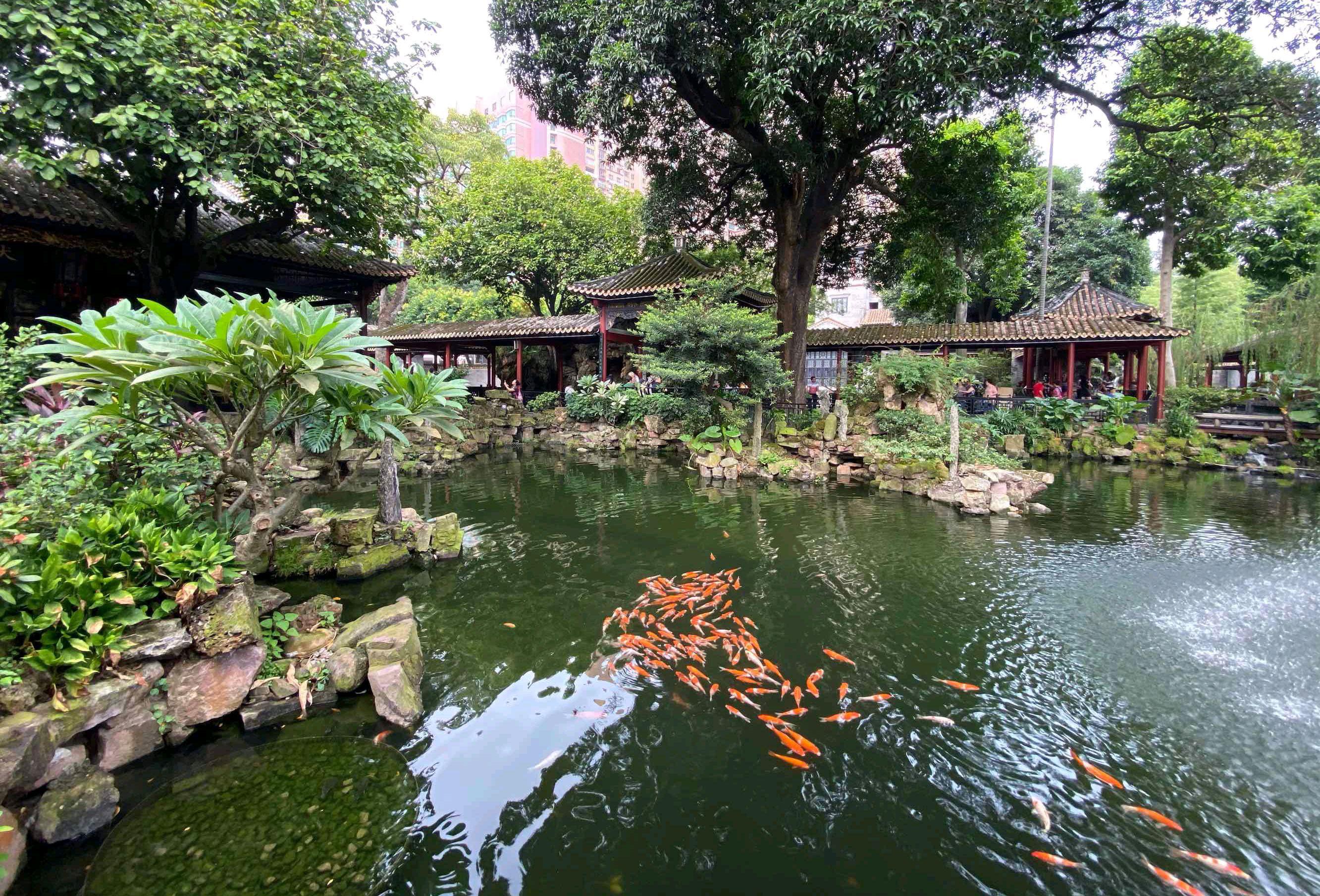 佛山:广东省内唯一的"特大城市" 旅行的魅力,并非仅在于目的地,更在于