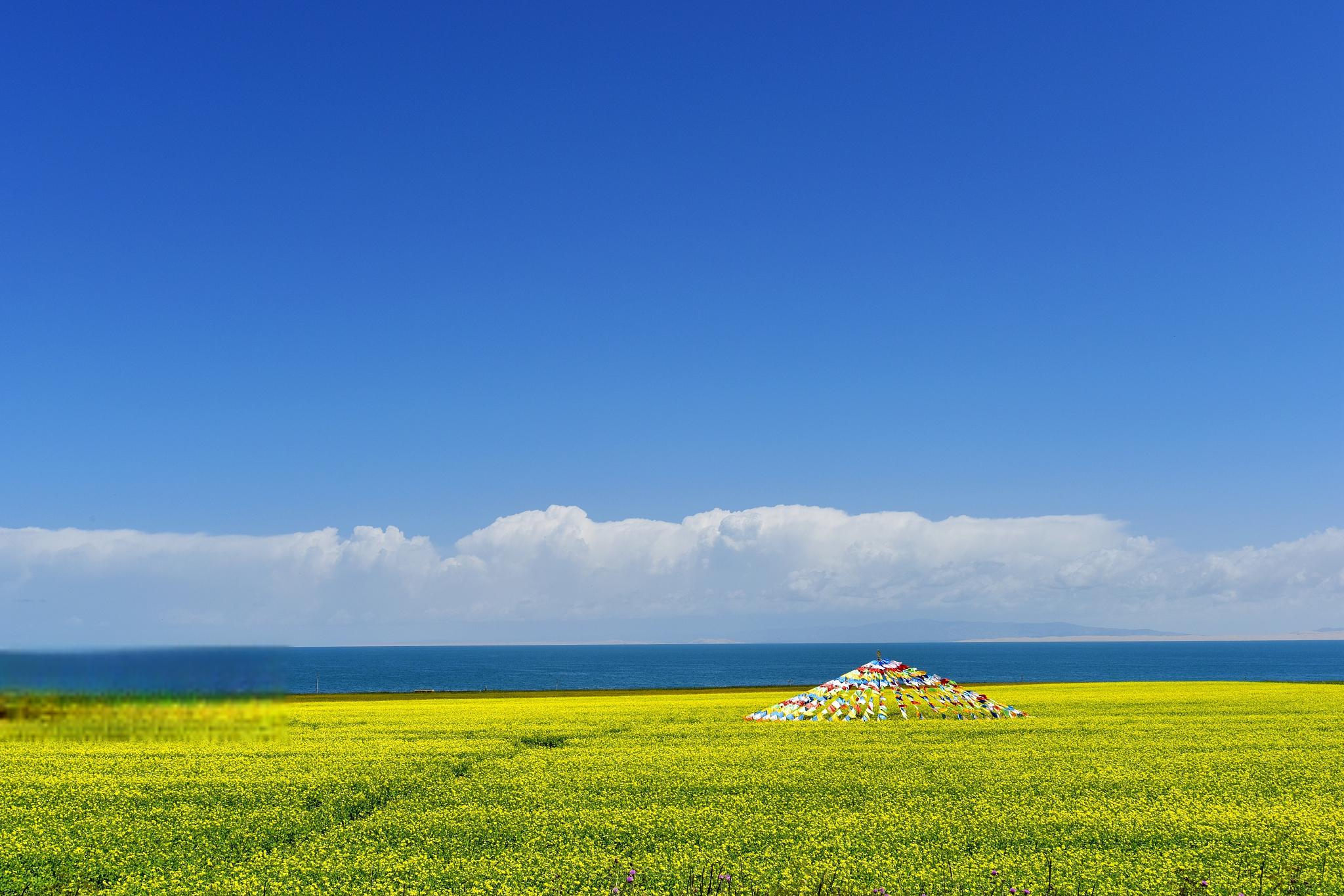青海湖:高原上的蓝宝石96 青海湖,中国最大的内陆咸水湖,藏身于青藏