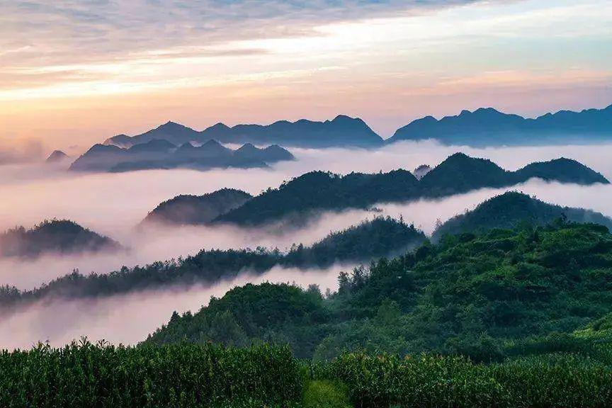 镇雄县:人口众多却经济发展困境重重 镇雄县是云南省人口最多的县,但