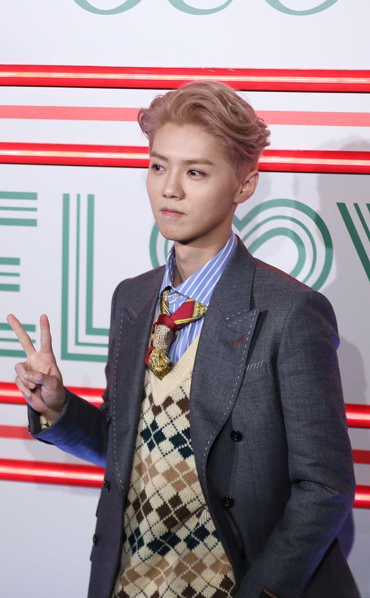 鹿晗巅峰告白:娱乐圈中的真情与担当,彰显独特男友力 鹿晗,娱乐圈的