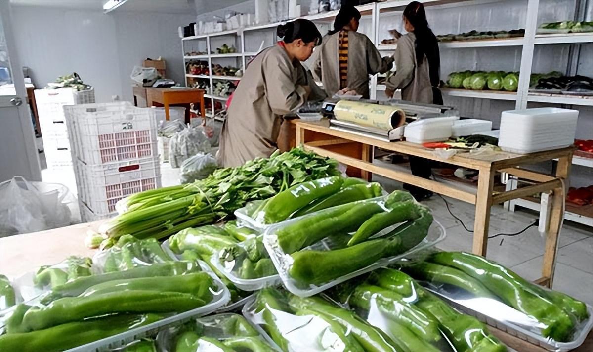 农村赚钱商机(农村的商机越来越多,抓住了就能赚钱)
