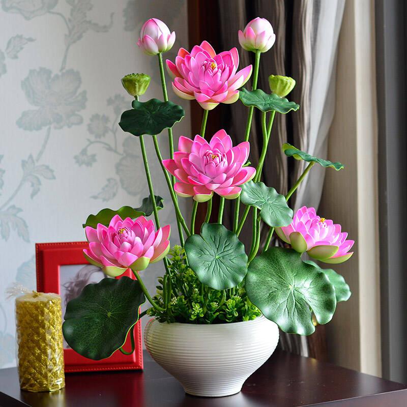 盆栽荷花,不仅美丽动人,更是水培植物中的"易养之星"!