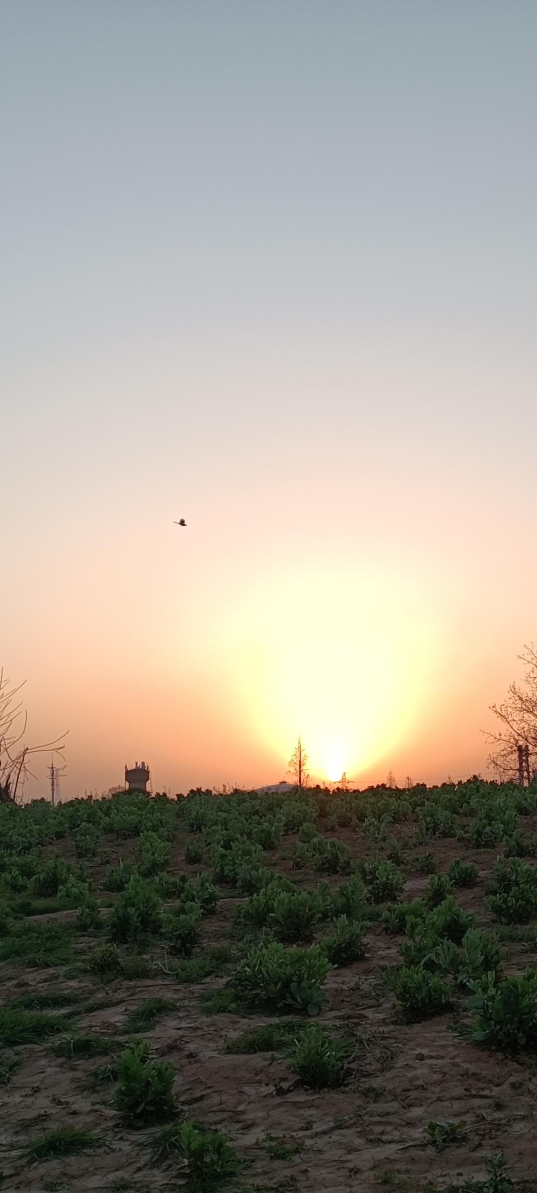 早晨曙光图片高清图图片