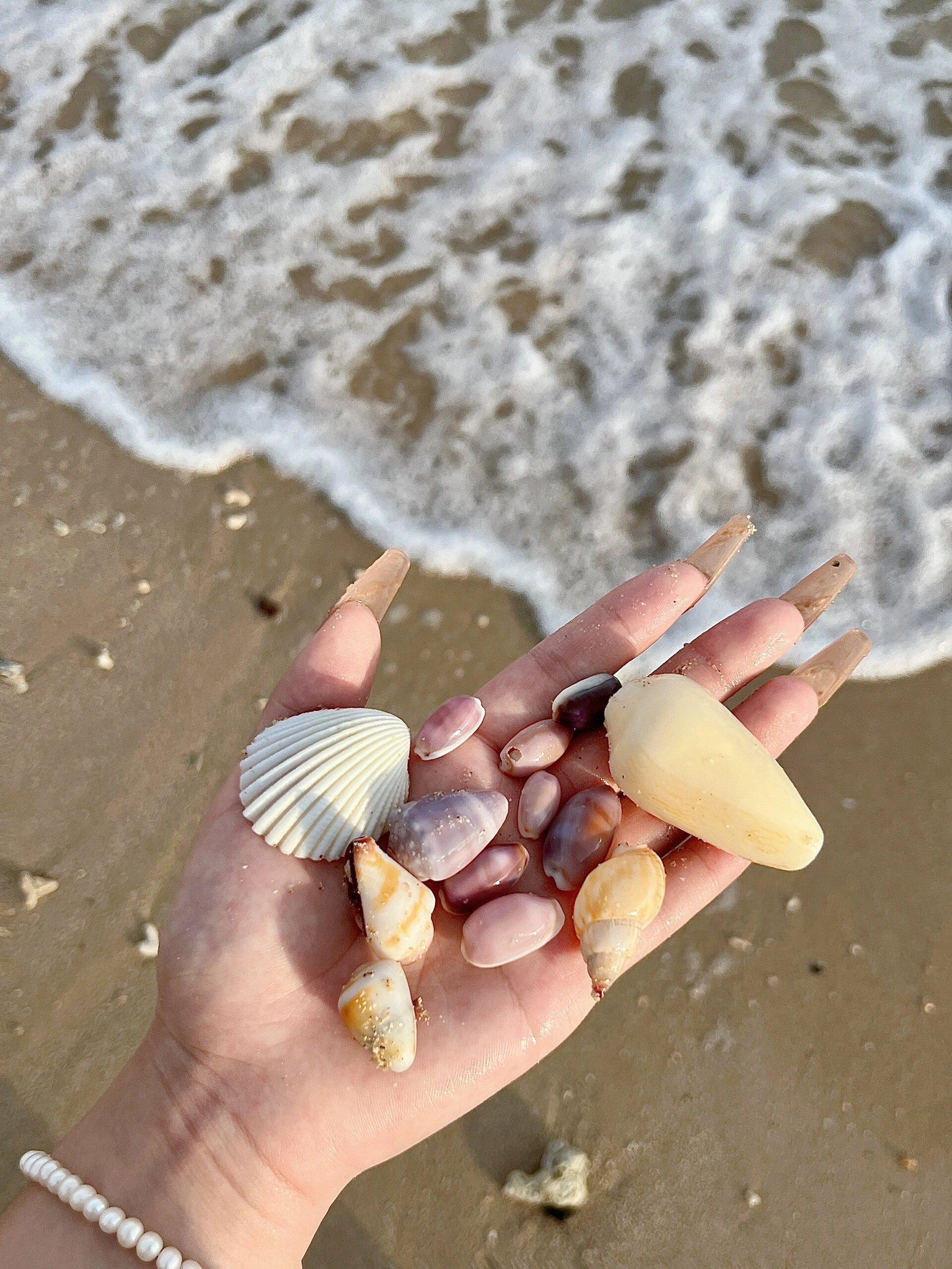 北海涠洲岛2天1晚旅游攻略 北海涠洲岛是一个美丽的旅游胜地,这里有