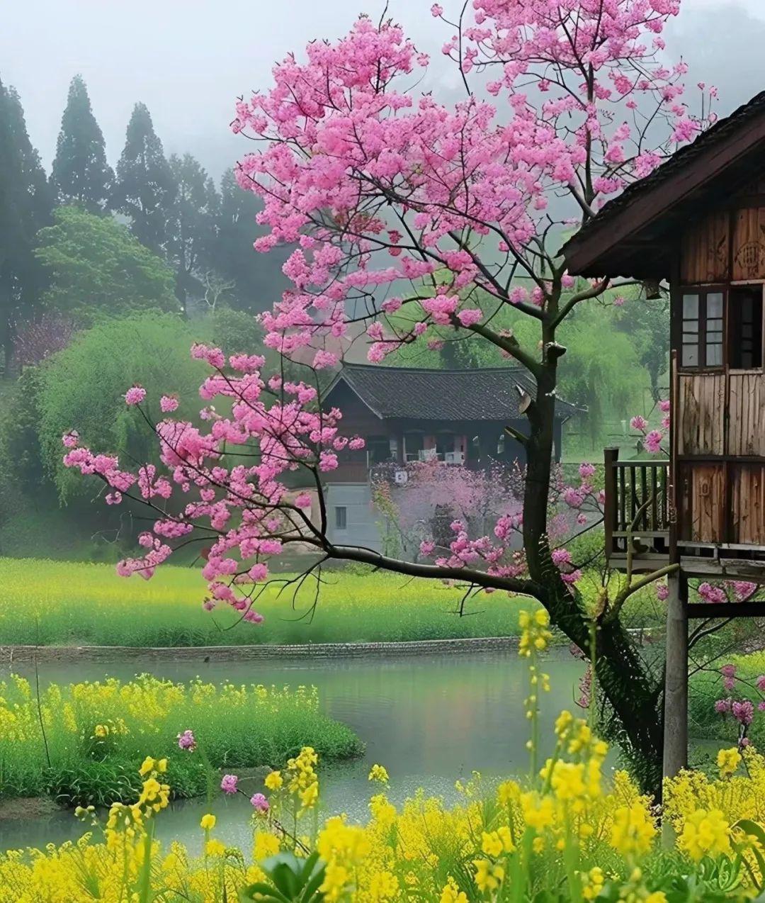 春天的美景:生命的轮回与变化 春天是大自然的复苏与新生,为我们带来