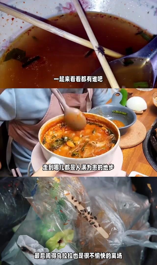 乌拉拉美食博主简介图片