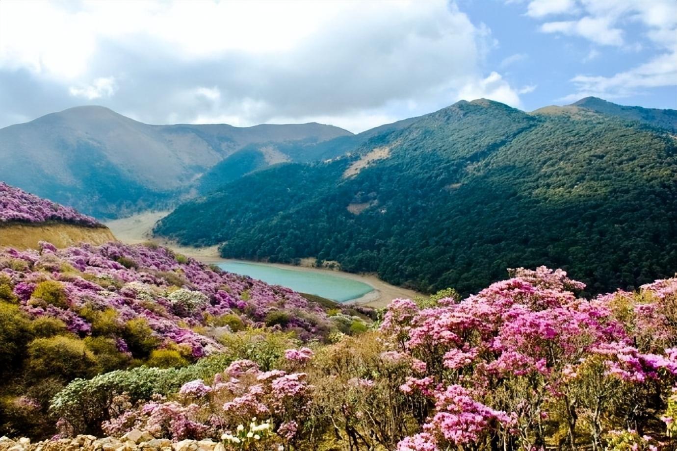 探秘马耳山,遇见人间仙境 鹤庆马耳山,一个名字鲜为人知但风光无限的