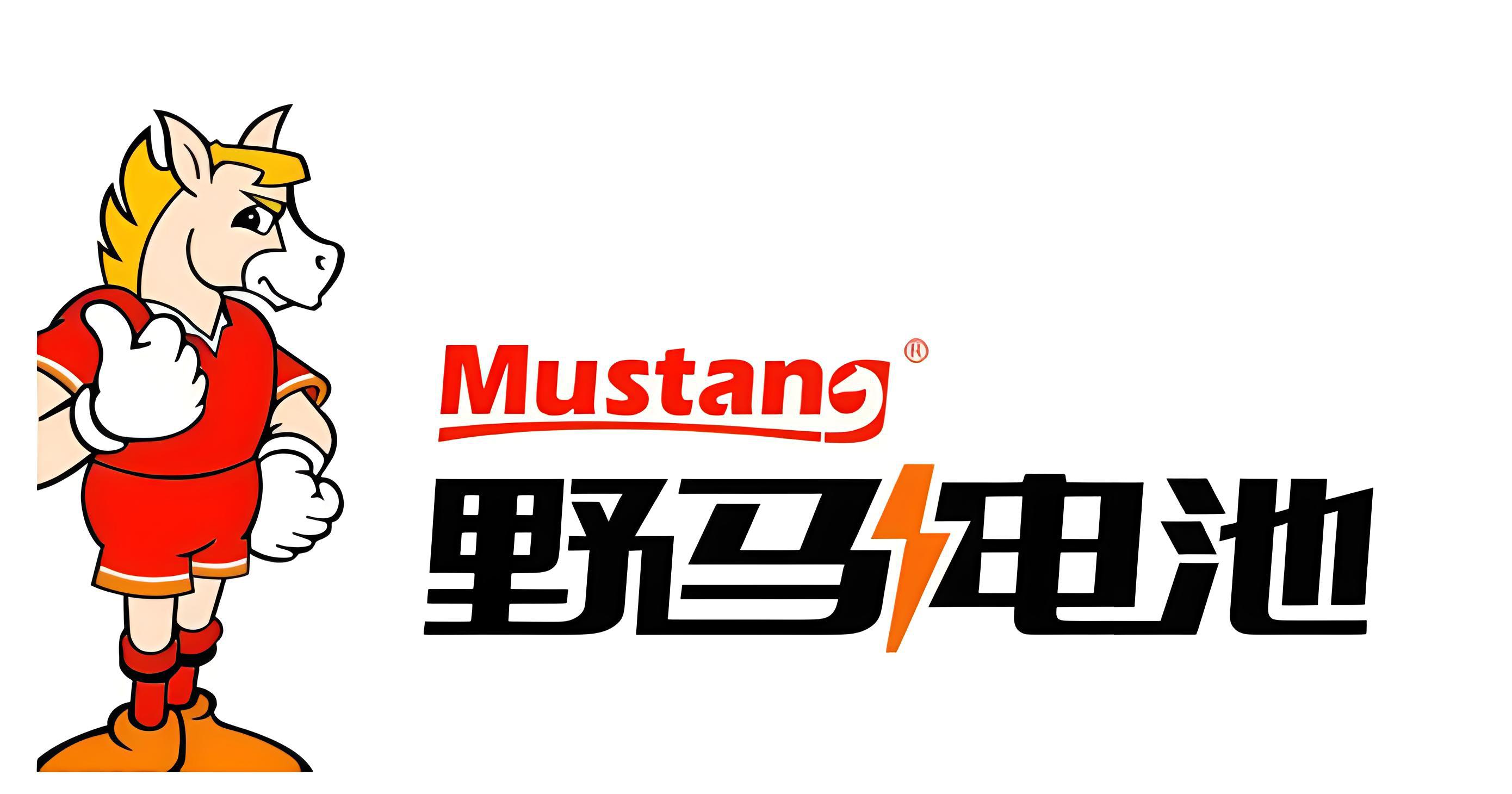 野马电池:新能源领域的黑马,引领绿色能源革命 宁波镇海的一家民营
