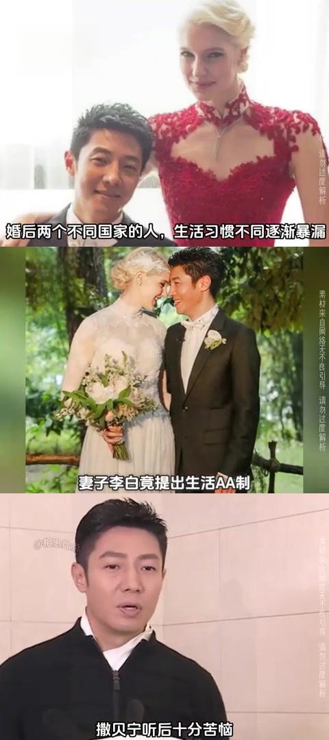 李白撒贝宁的老婆多大图片