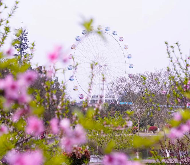 宁乡玉潭公园:春日花海 三月芳菲,春色撩人,宁乡玉潭公园已是一片游人
