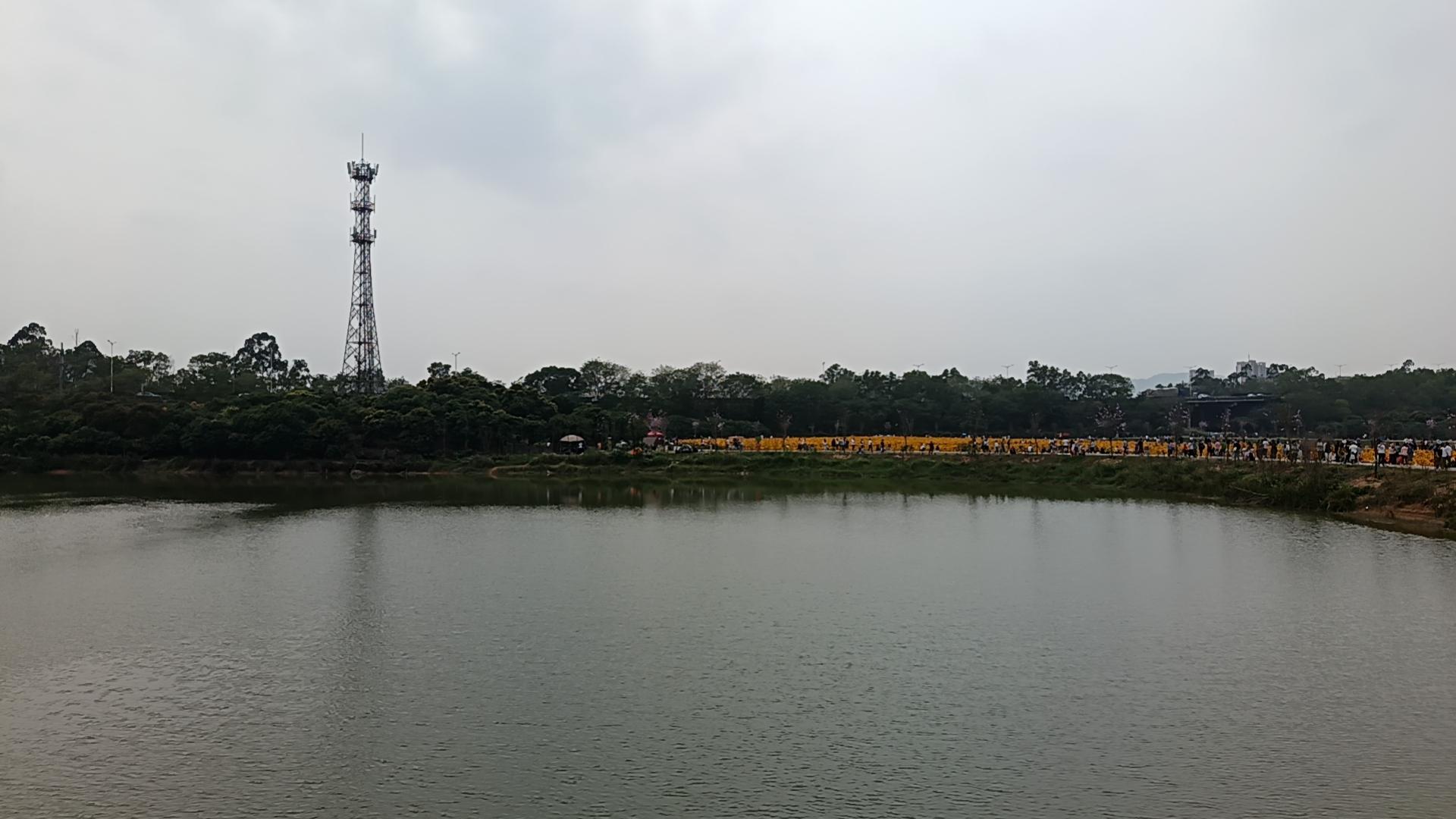 东莞隐藏版仙境:黄江黄牛埔水库 在东莞这片繁华的大地上,藏着一个如