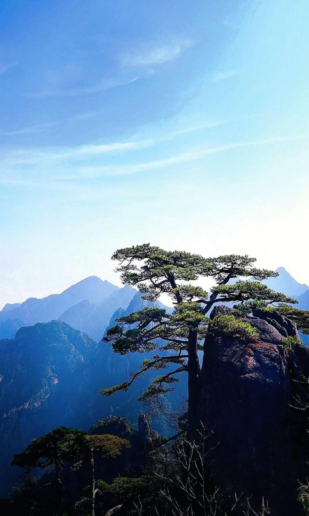 黄山,宏村,油菜花,是春日里最美的风景,也是最值得探索的地方