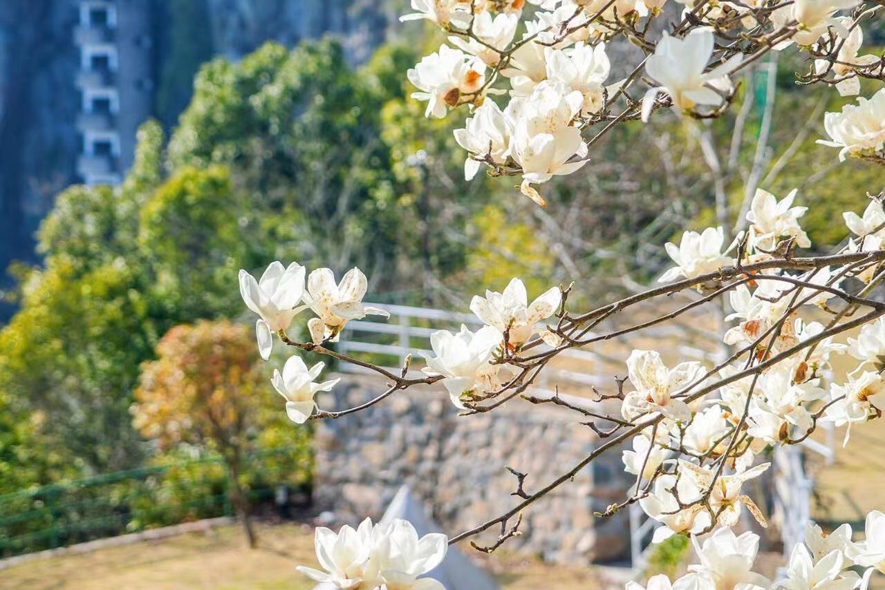 奉化溪口徐凫岩,一个隐藏的天堂,等待你的到来.