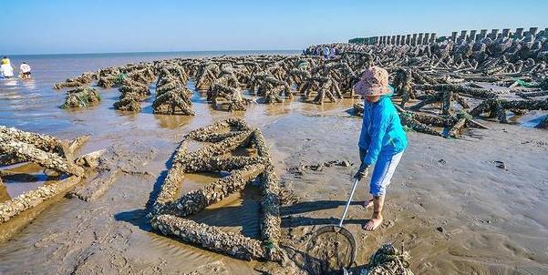 奉贤渔人码头沙滩:你的夏日海滨乐园 奉贤渔人码头沙滩是上海最大的