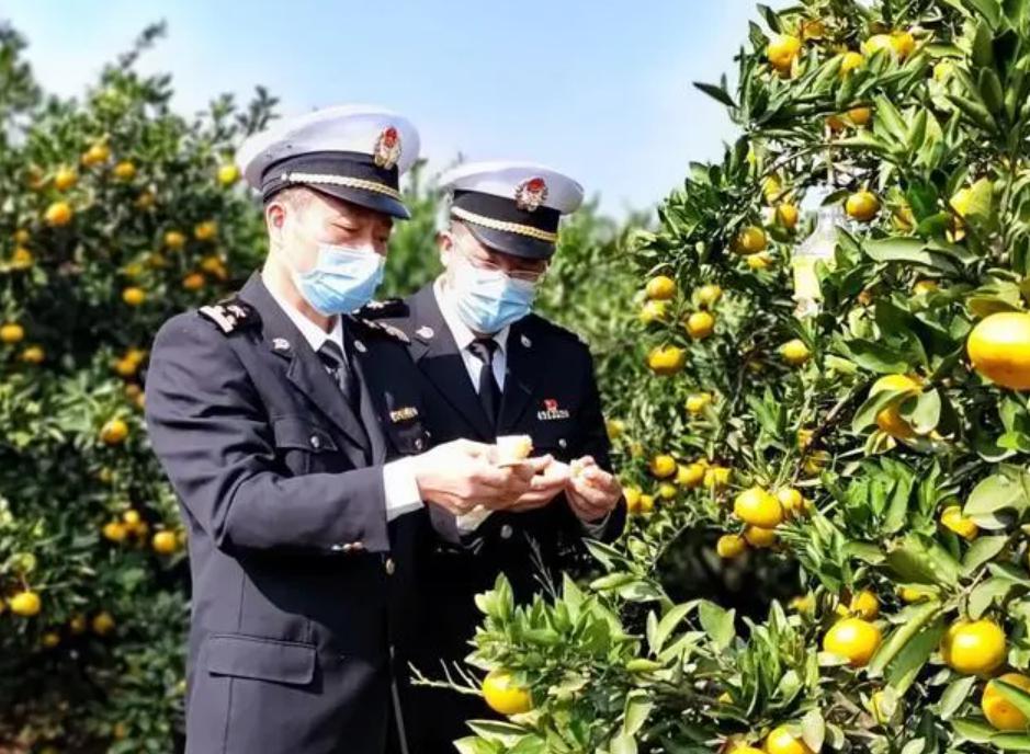 植物检疫图片