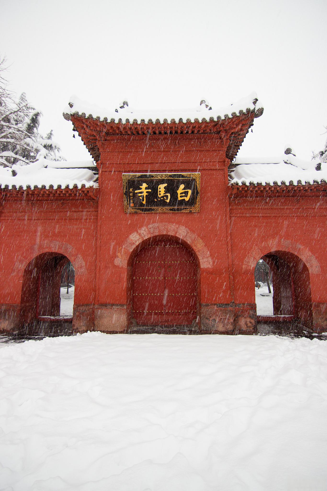 安徽省桐城市白马寺图片