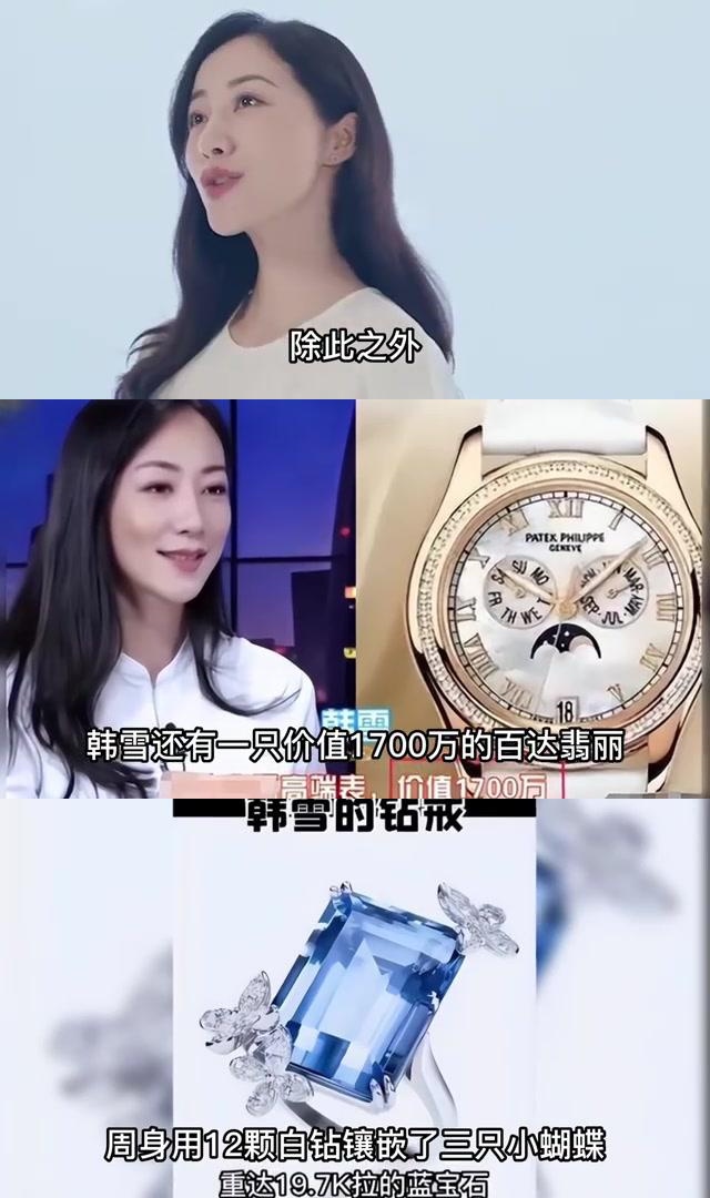 韩雪:娱乐圈的财富象征,揭秘其背后的商业逻辑与市场趋势 韩雪,一个在