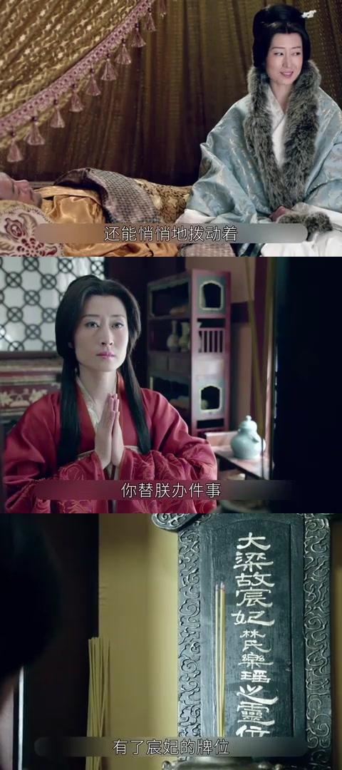 琅琊榜梁帝最爱的女人图片