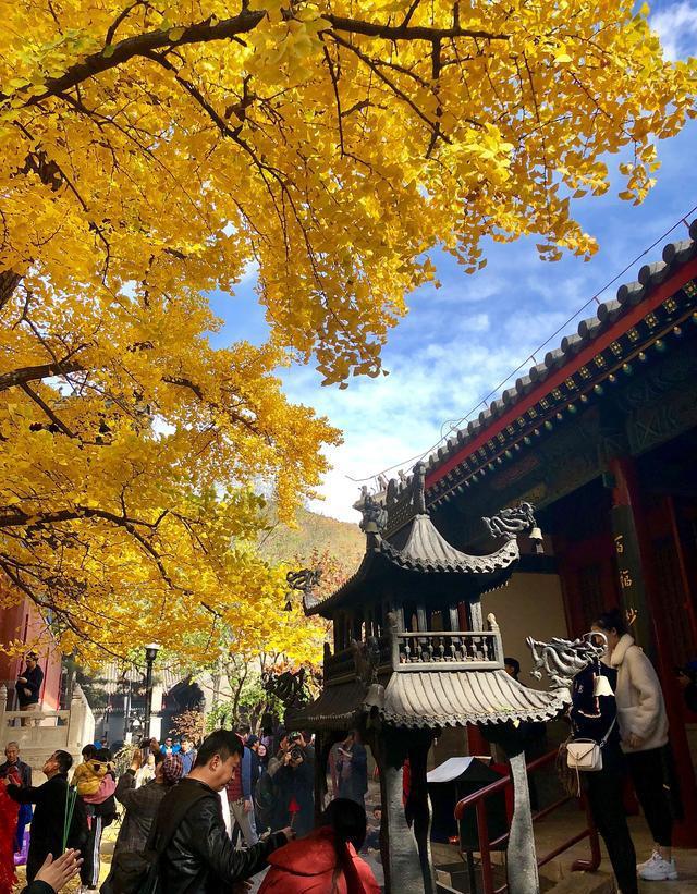 探秘北京红螺寺,解锁古老佛教之谜!