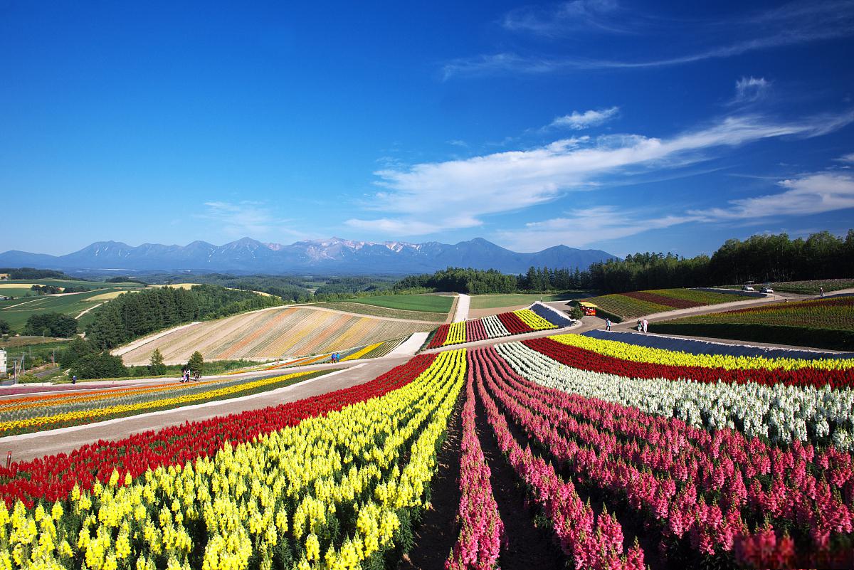 四季花海:英山最美的风景区 春风拂面,阳光明媚,四月的天空宛如一幅