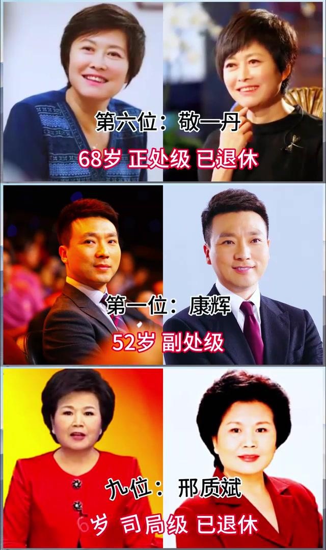央视十大主持人:康辉,撒贝宁,敬一丹等,谁更胜一筹?
