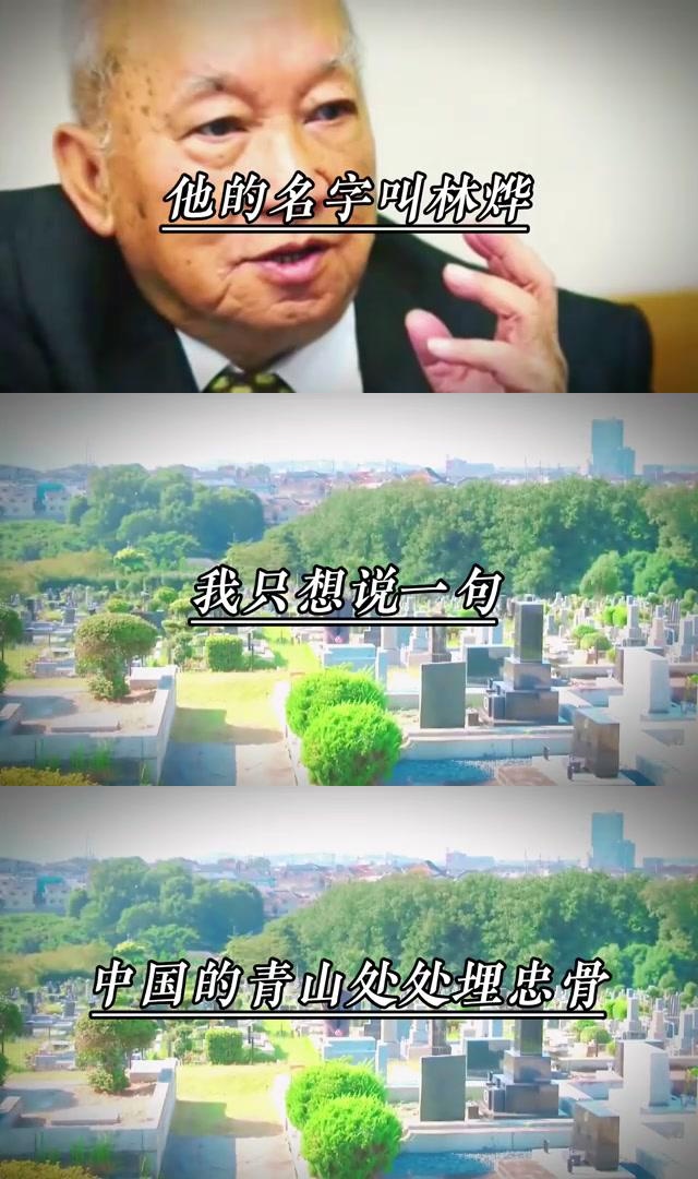 林烨个人简介