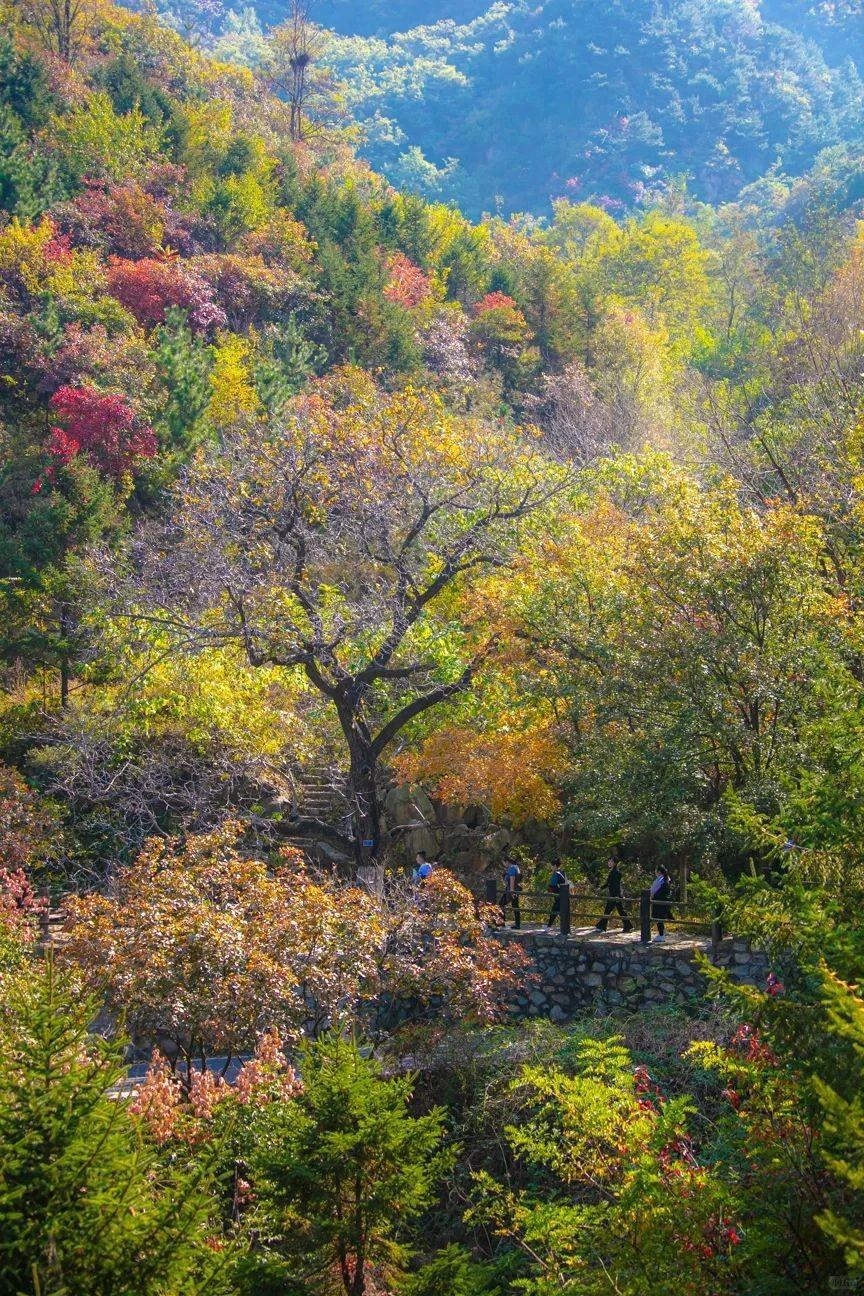 本文将带你领略济南的美丽风光,感受这座城市的独特魅力.