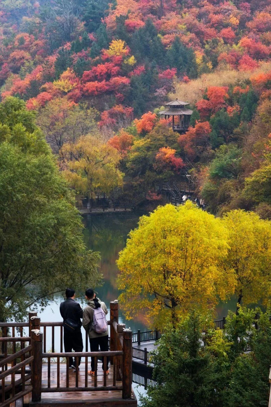 济南自驾游景点大全图片