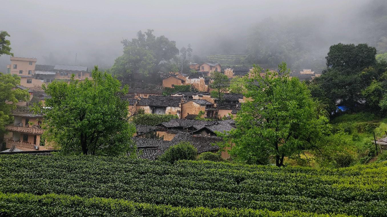 丽水松阳县的杨家堂:江南秘境 雨后初晴的松阳县,温度宜人,正是踏春的