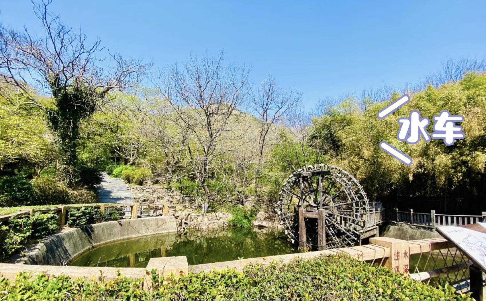 适合老年人的景点(适合老年人旅游景点国内城市)