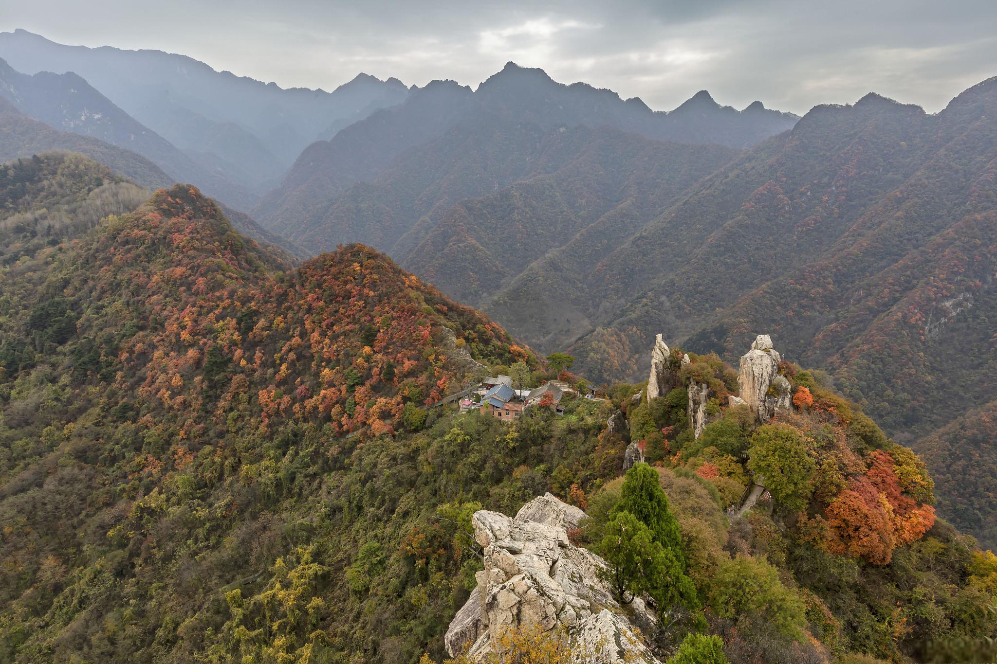 丰县美景图片