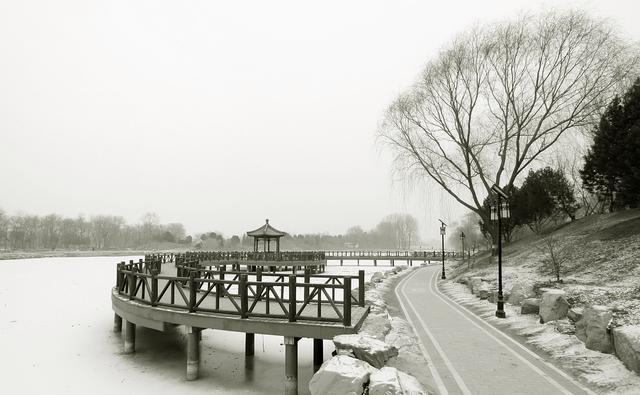 南京的八卦洲,每个季节都有它独特的韵味.