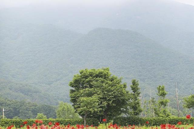 法台山一日游:邂逅大自然的绝美与宁静 法台山风景名胜区位于甘肃省