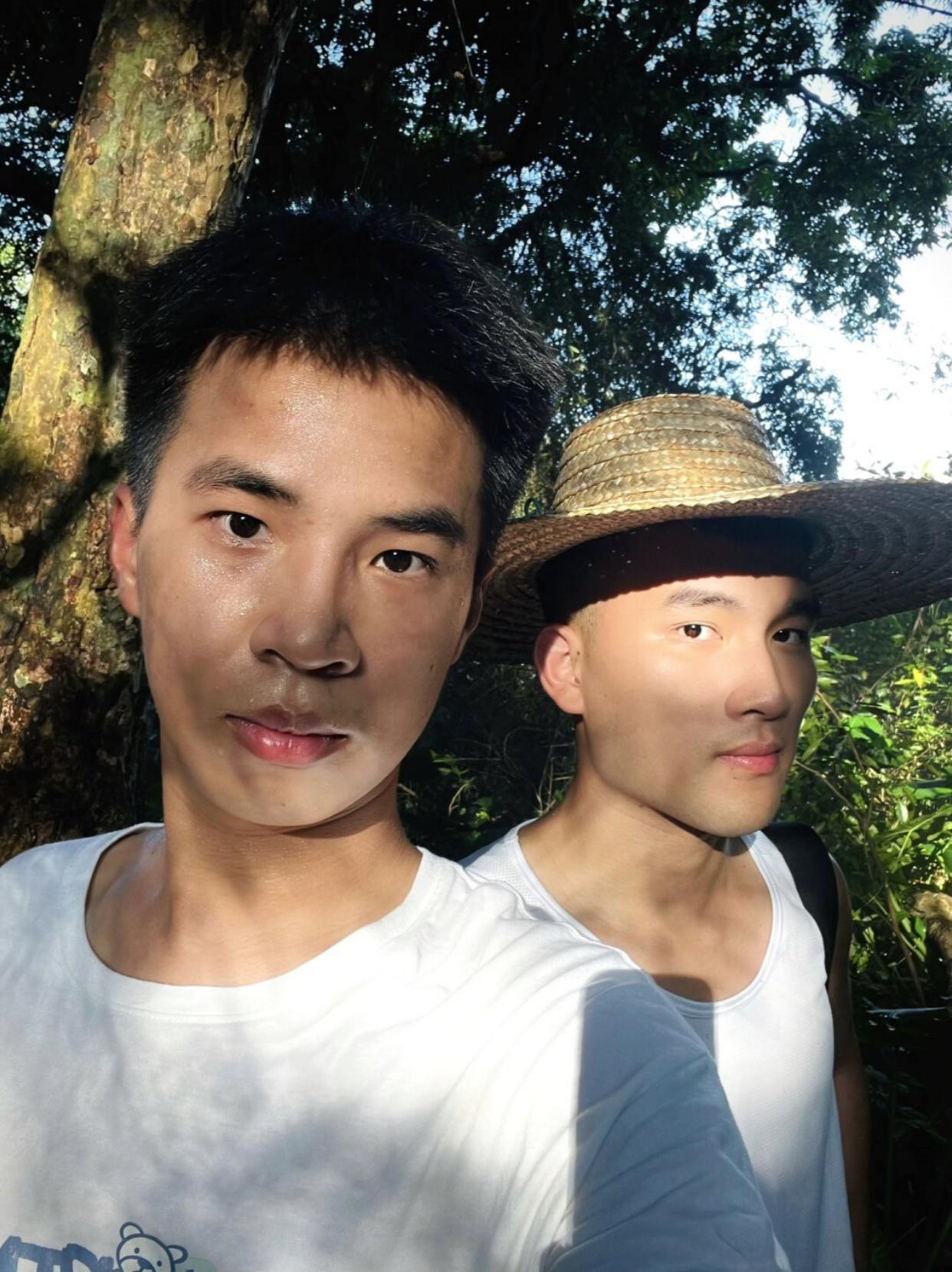 绿野仙踪中的法律边界:昆明杜鹃花节的社会影响与法律