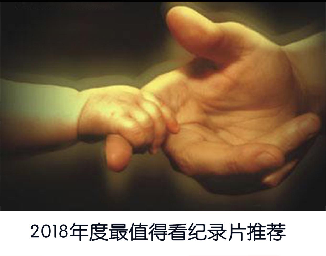 人类本能》纪录片揭示:本能视角下的世界奥秘 看完了bbc纪录片《人类