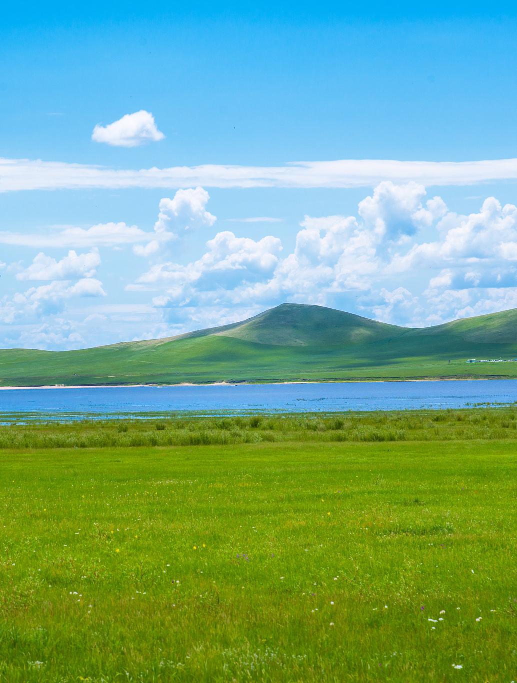 锡林郭勒盟:草原上的隐藏宝石 锡林郭勒盟,这片神秘的土地,隐藏着无数