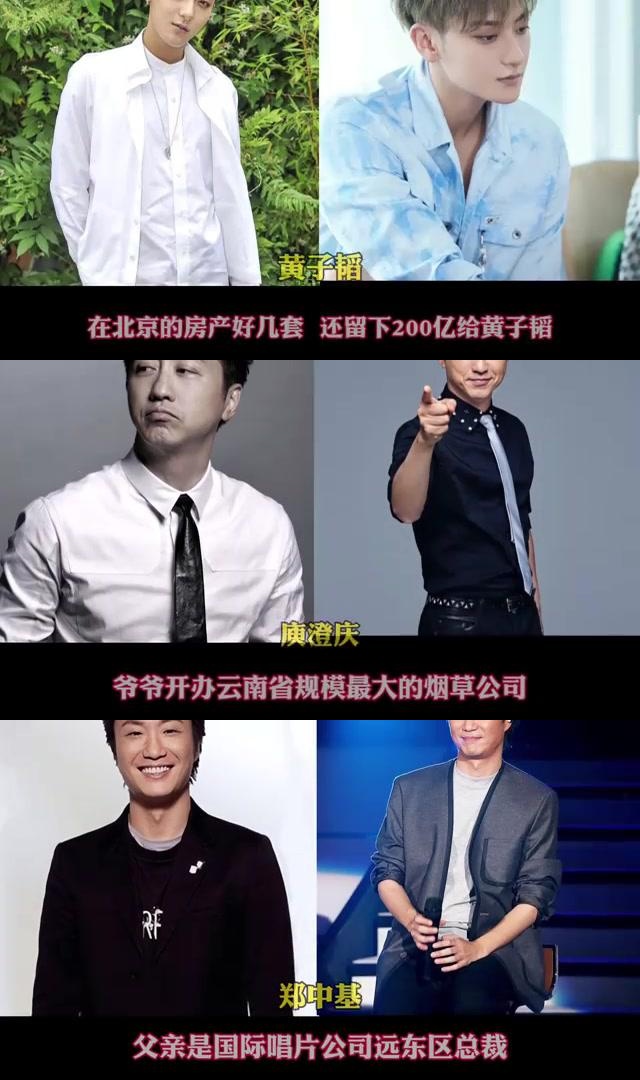 娱乐圈的隐藏大佬:揭秘十位惹不起的太子爷 娱乐圈中有许多背景强大的