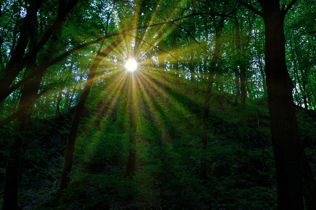 一定会让你眼前一亮 美丽的日出 这张图片展现了一幅美丽的日出景象