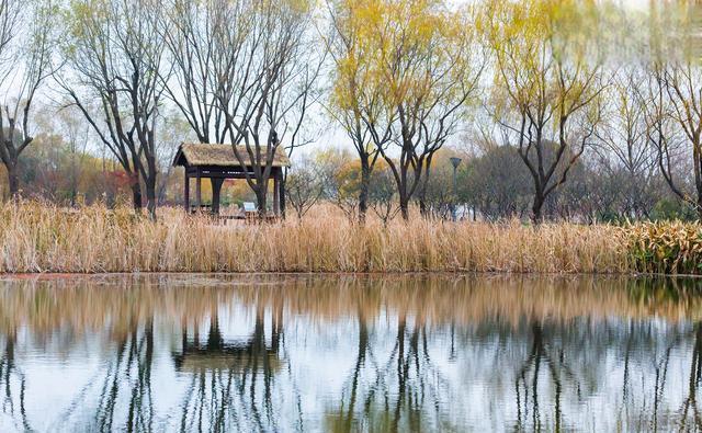 与自然的邂逅,心灵的洗礼之旅 南京鱼嘴湿地公园位于南京建邺区河西