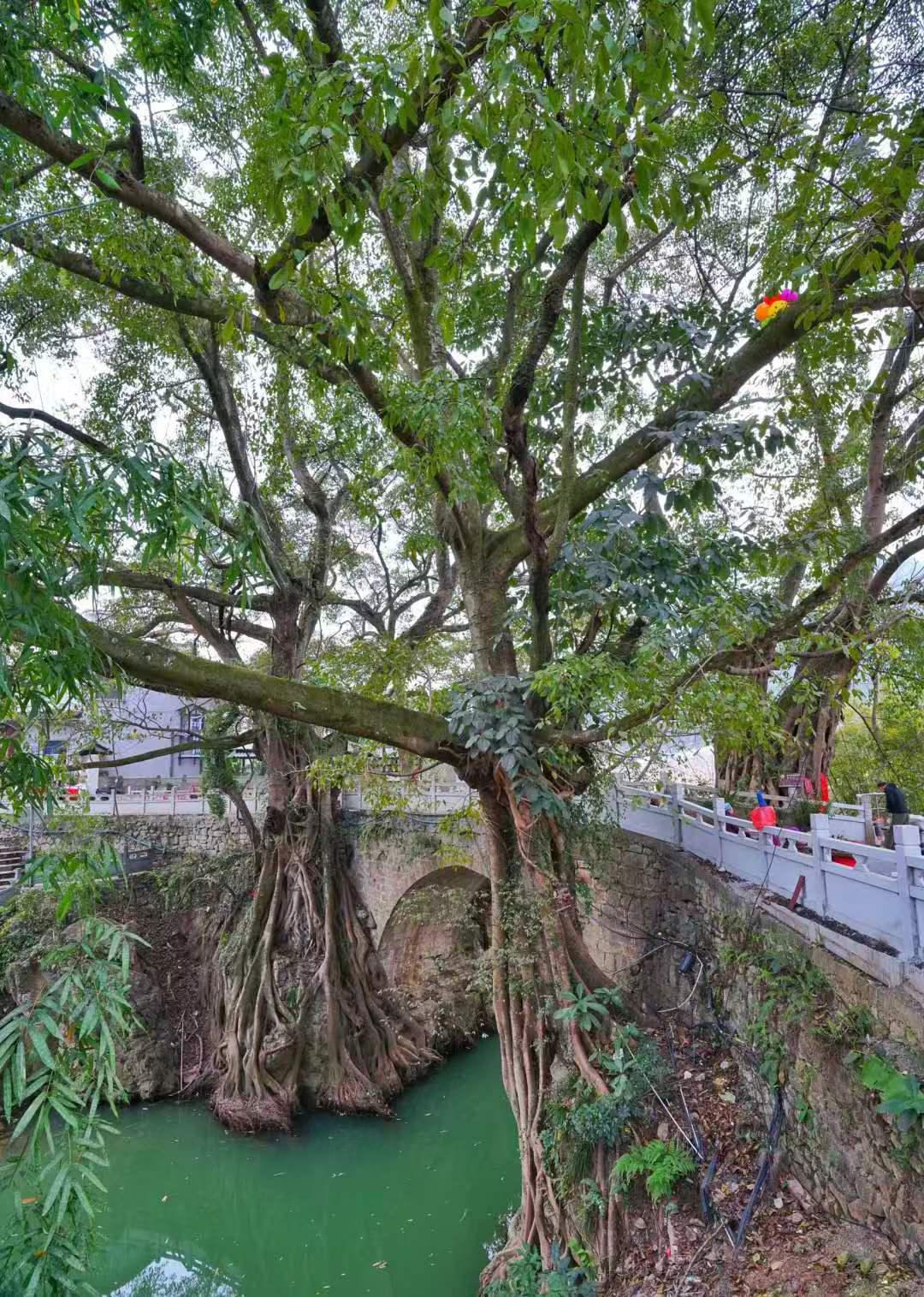 下纳灰村 下纳灰村,一个隐藏在黔西南布依族苗族自治州的兴义市的神秘
