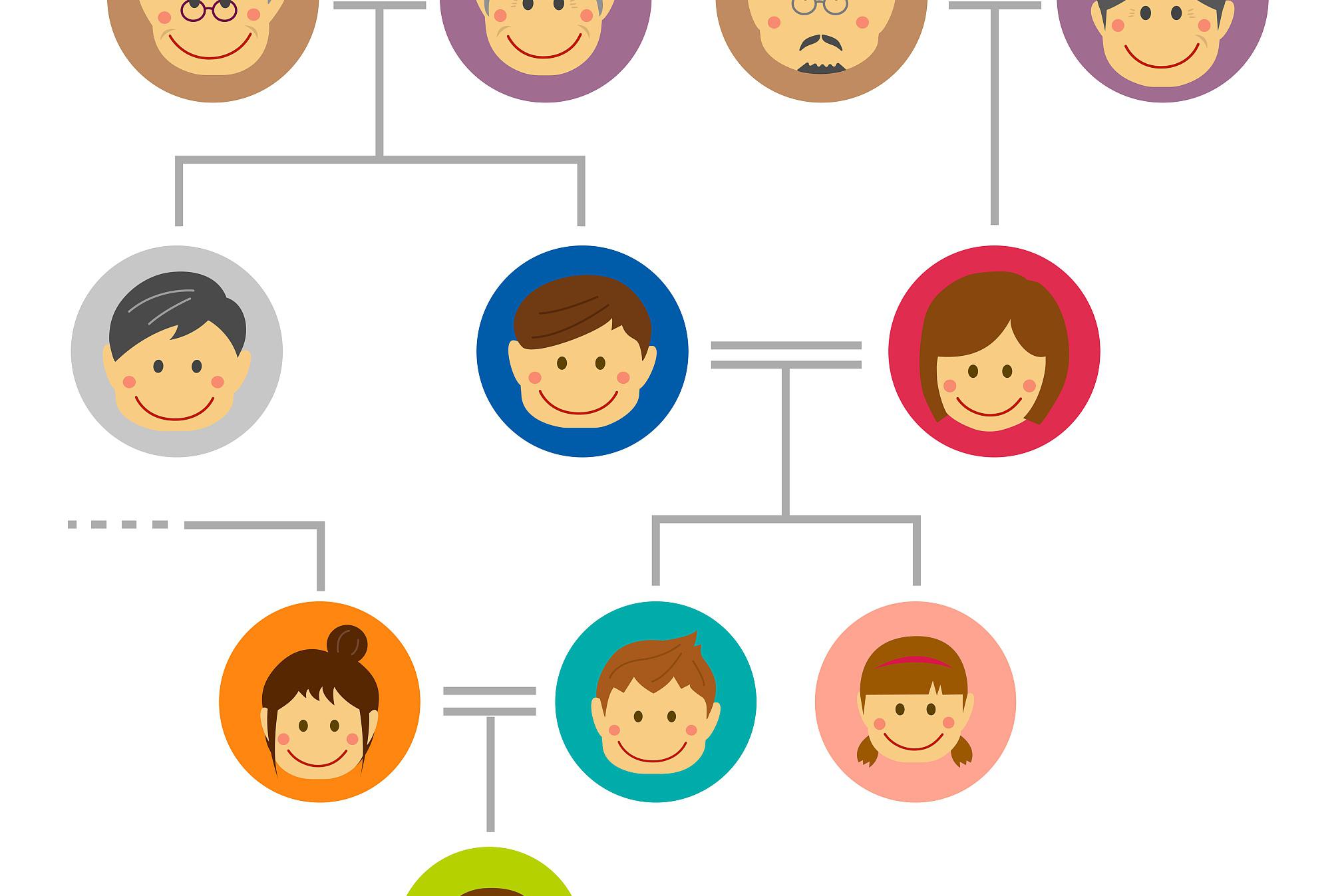 亲属关系新解:直系亲属与旁系亲属的法律,道德与文化意义 直系亲属与