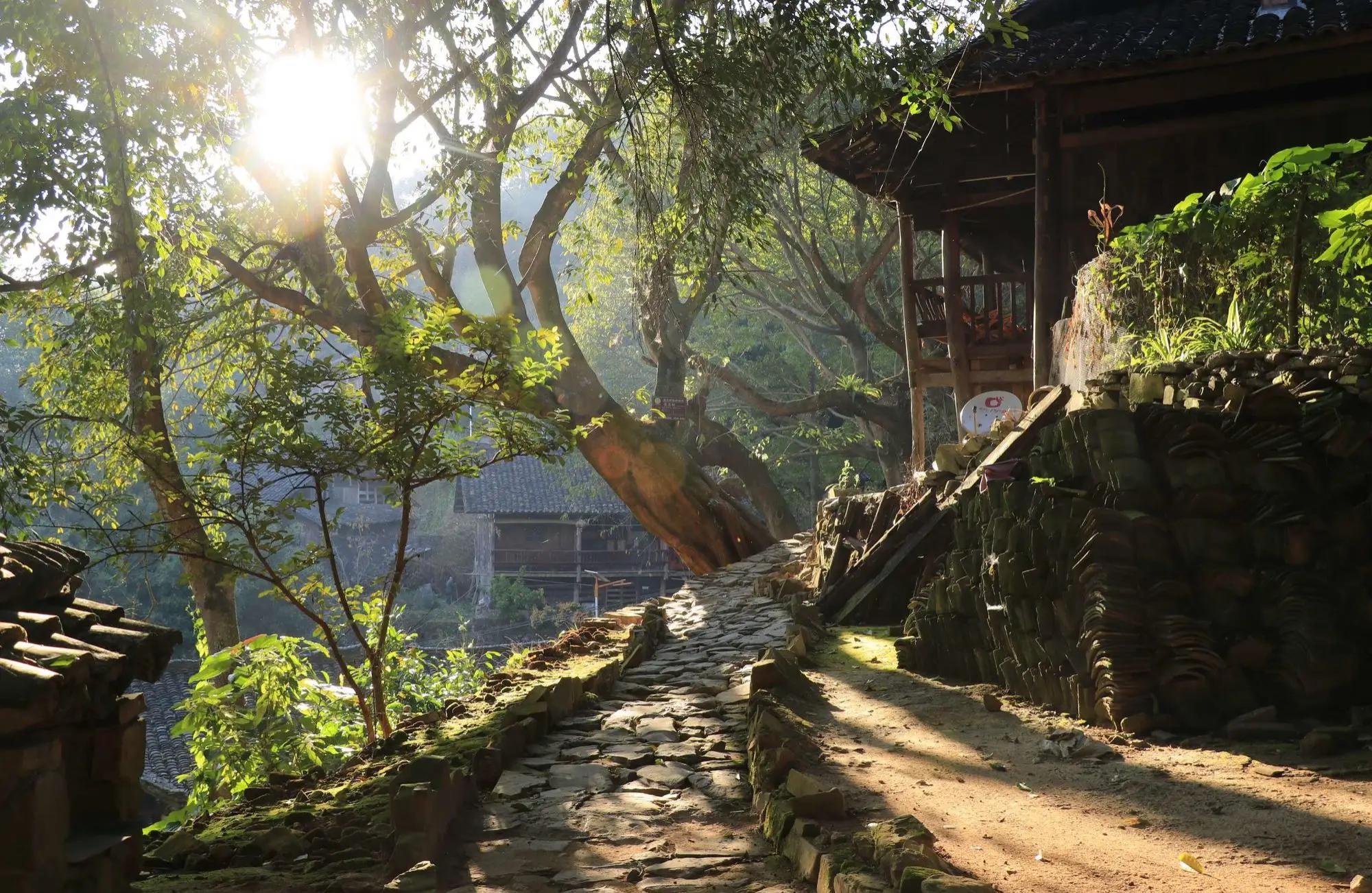 春日探秘贵州古村寨,自由与美景的邂逅!