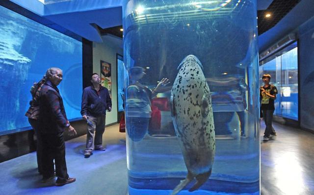 常州海昌海洋探索馆:开启海底奇幻之旅 潜入常州海昌海洋探索馆,解锁