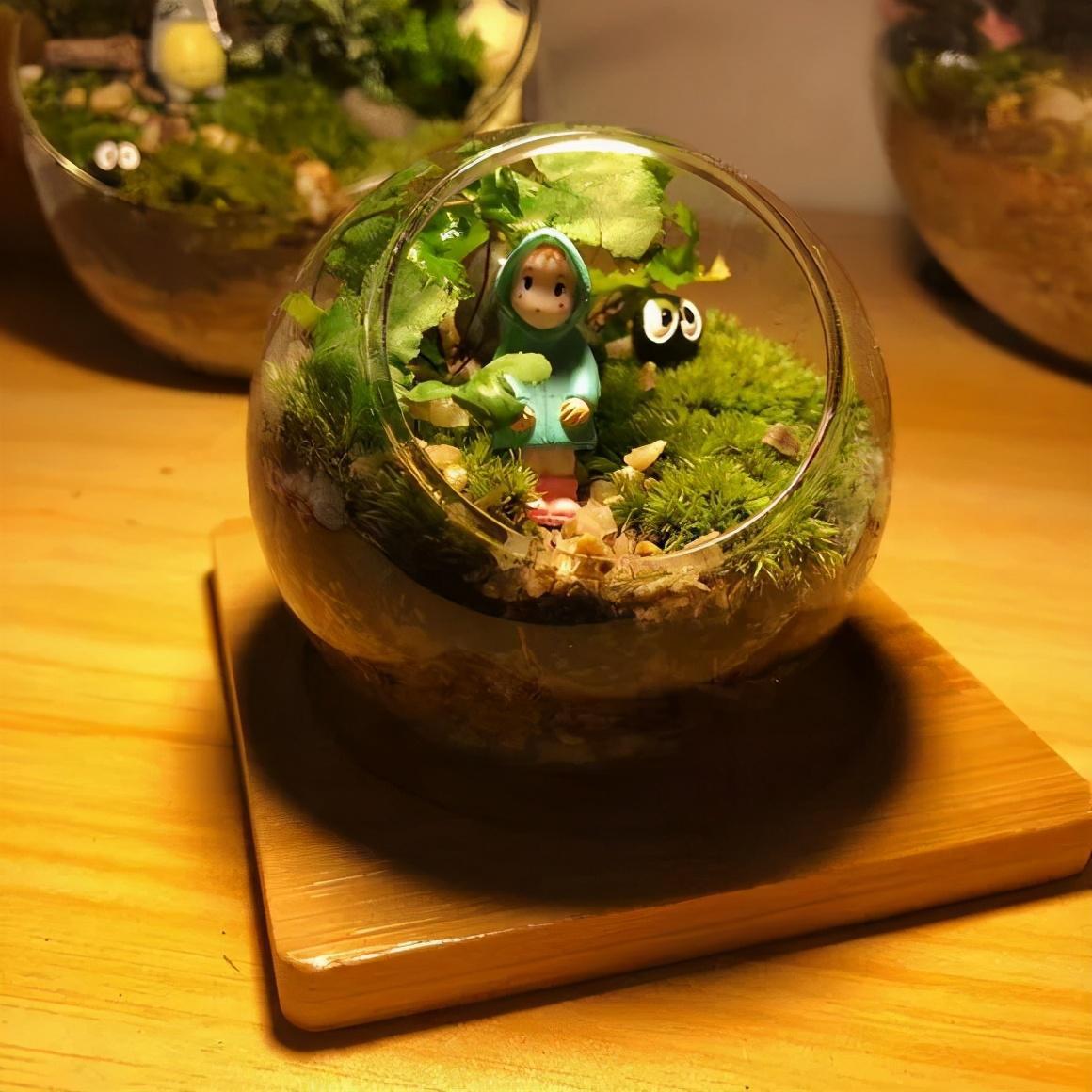 野草大变身:把路边的野草变成独一无二的盆景 爱植物的你,是不是总被